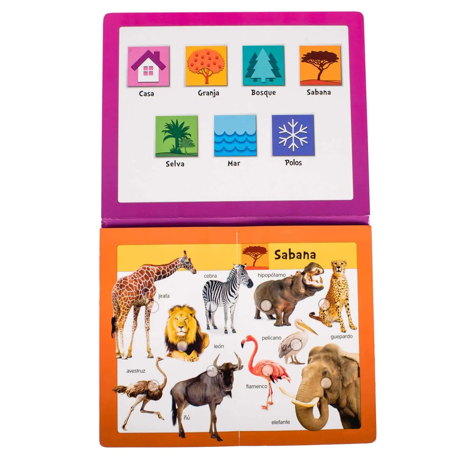 BabyPad: Animales - Imagen 2