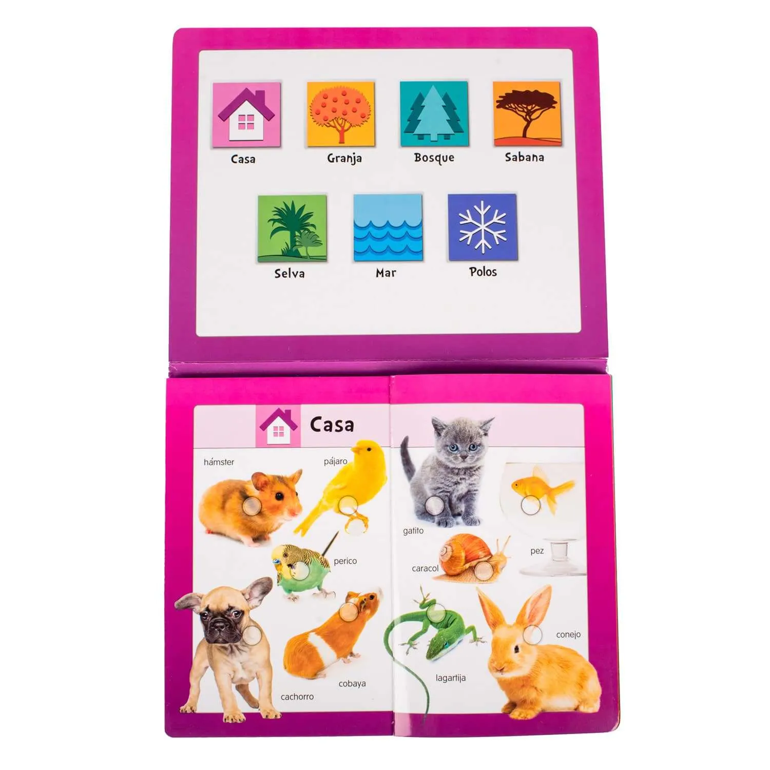 BabyPad: Animales - Imagen 3