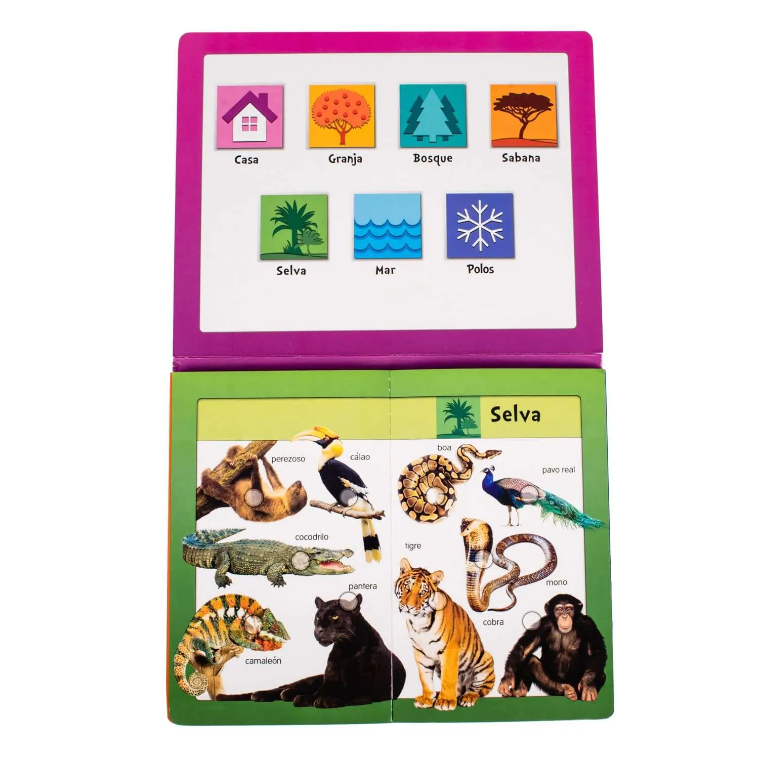 BabyPad: Animales - Imagen 4