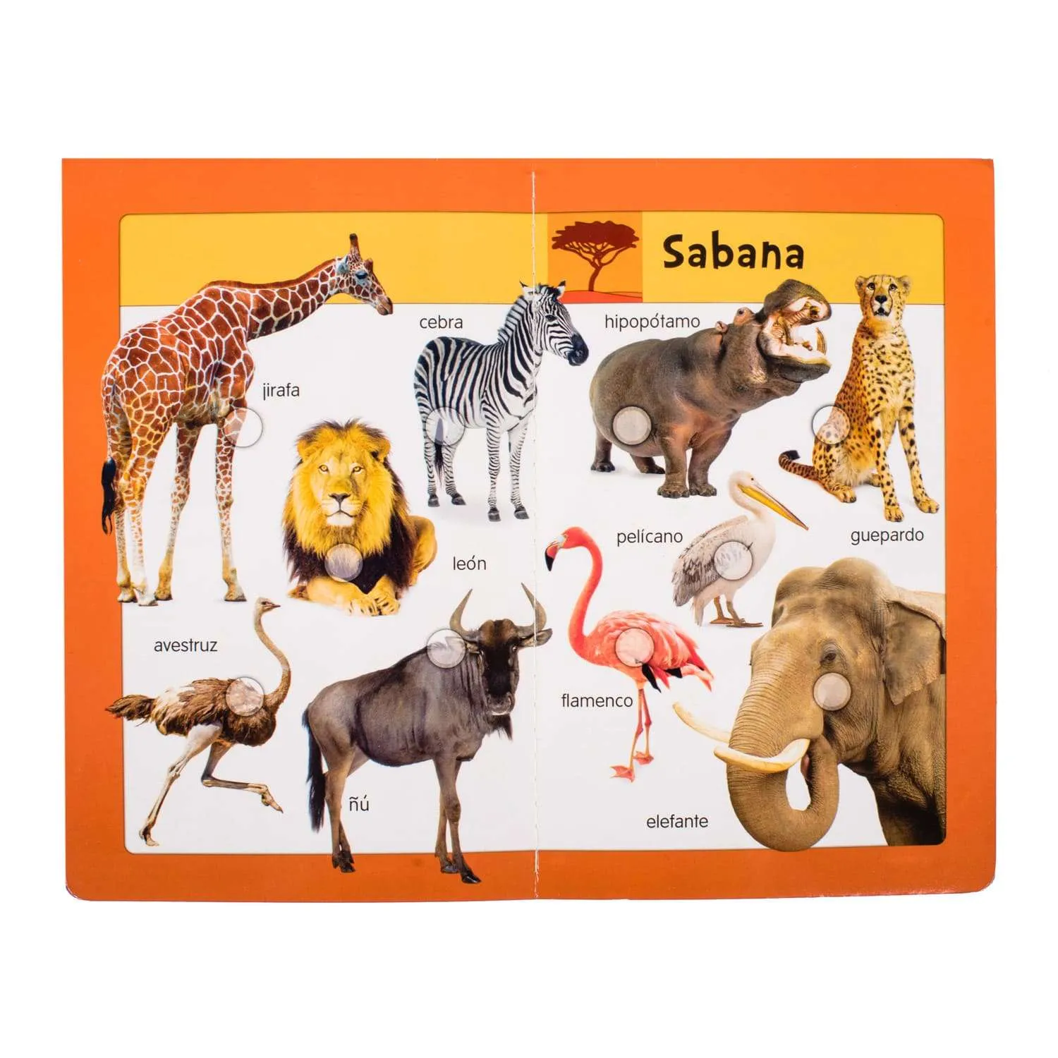 BabyPad: Animales - Imagen 5