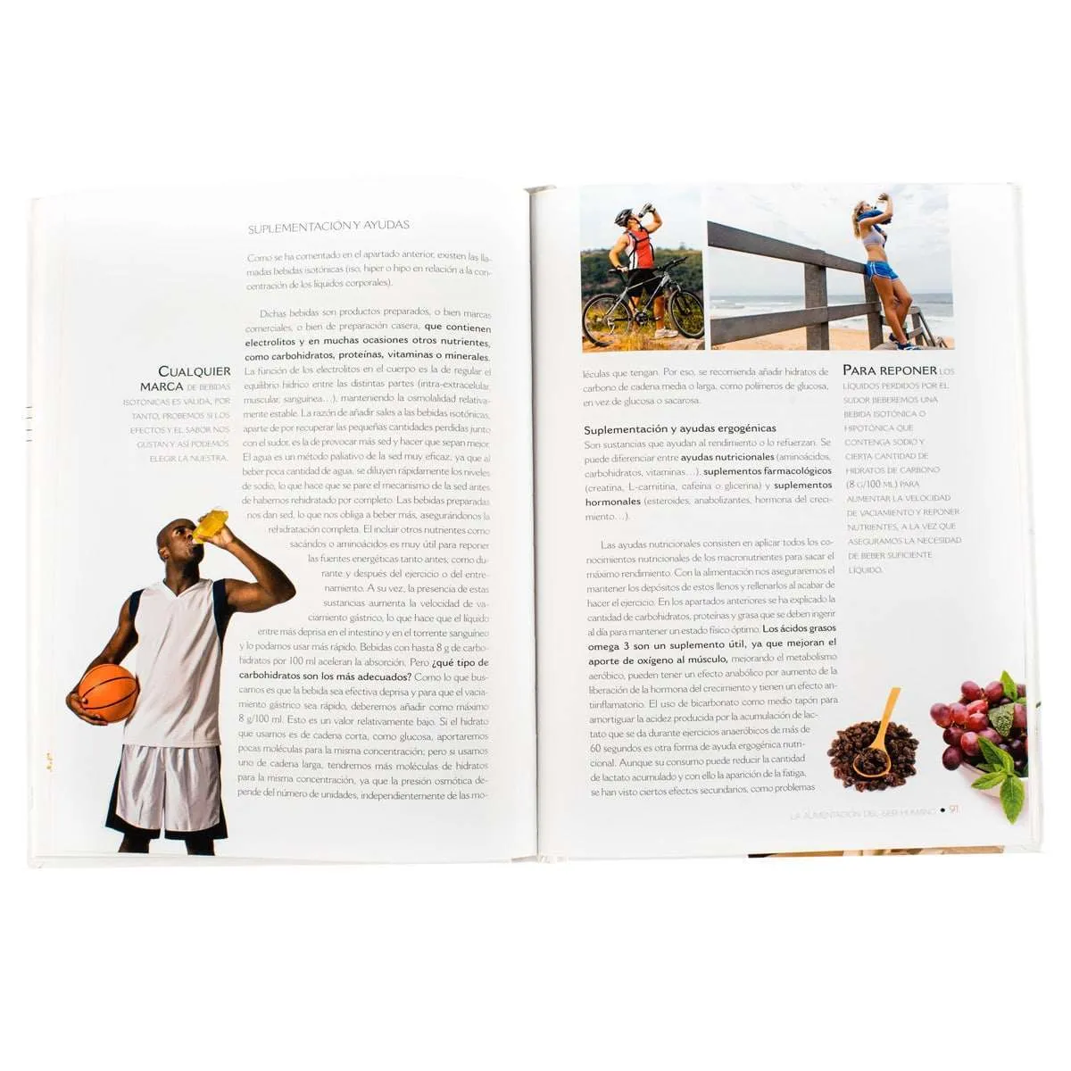 Nutrición para Deportistas - Imagen 3