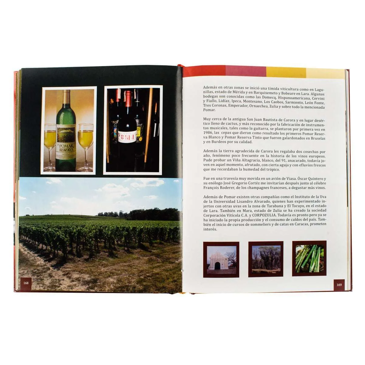Saber de Vinos, Desde Canadá a la Patagonia - Imagen 2