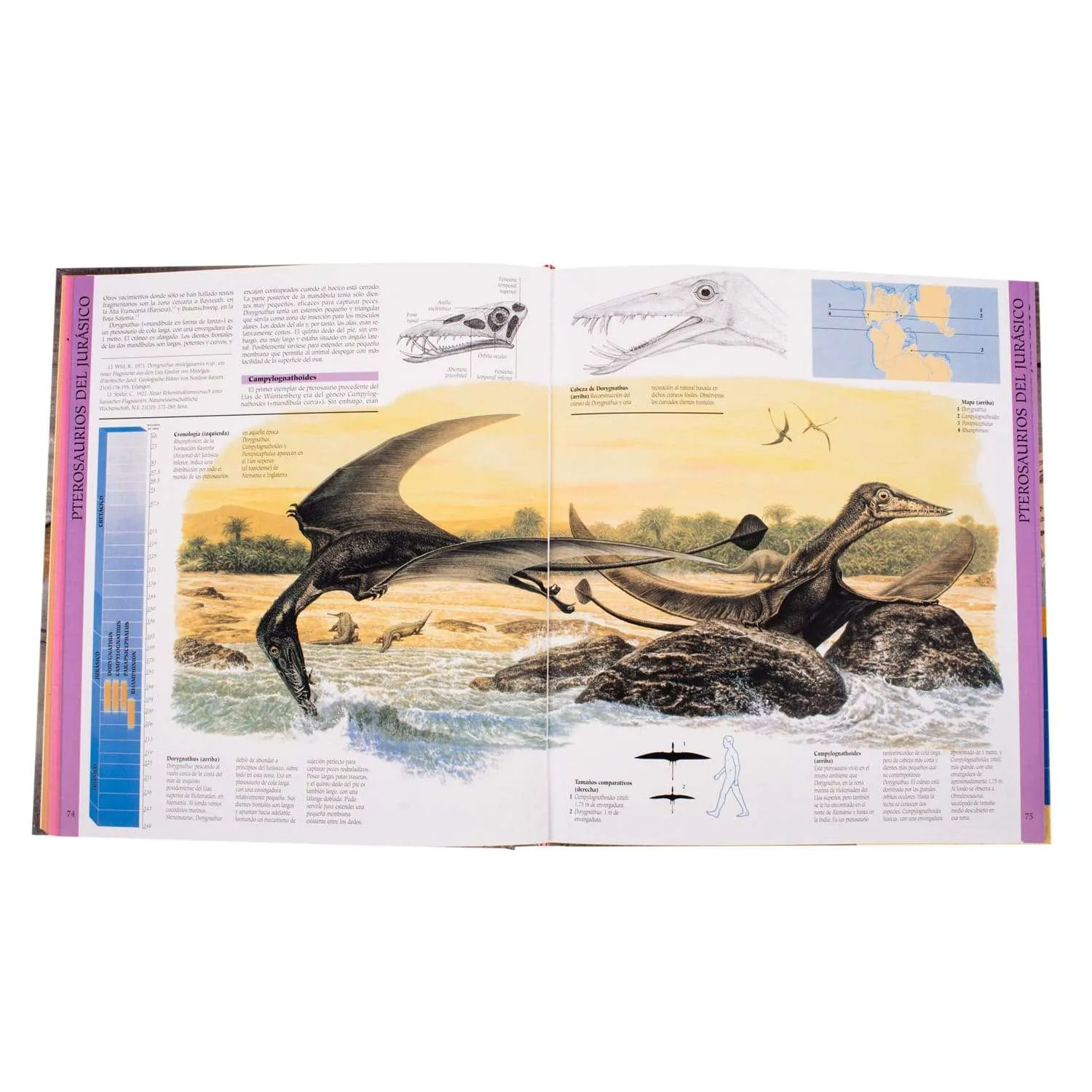 Atlas Ilustrado de los Dinosaurios Voladores Pterosaurios - Imagen 3