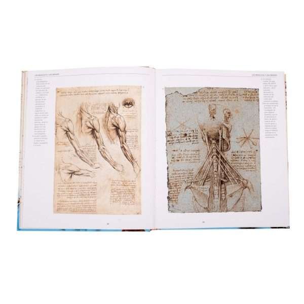 Leonardo Da Vinci, Vida y Obra - Imagen 3