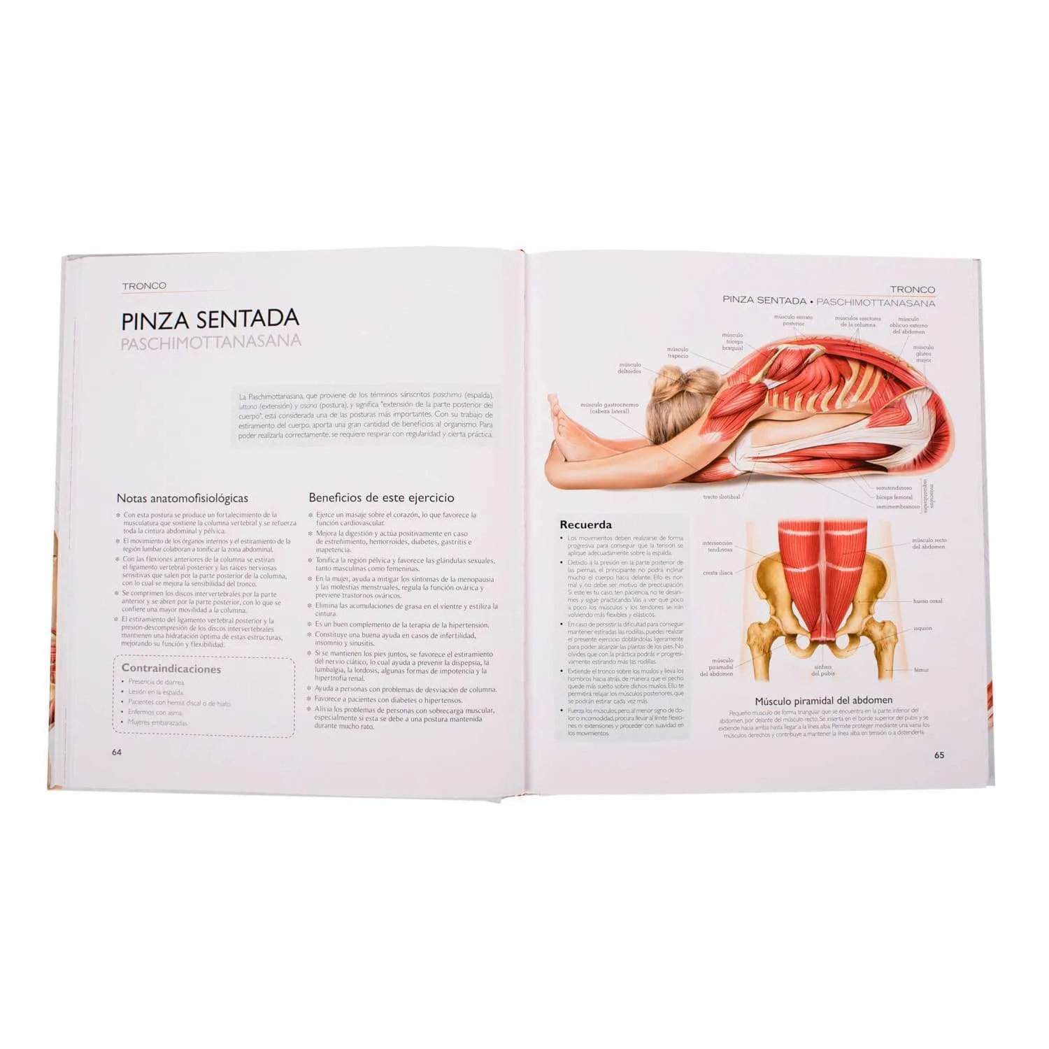 Atlas Ilustrado Yoga - Imagen 3