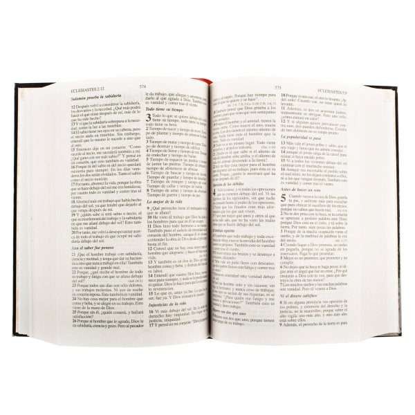 La Santa Biblia, Reyna Valera - Imagen 4