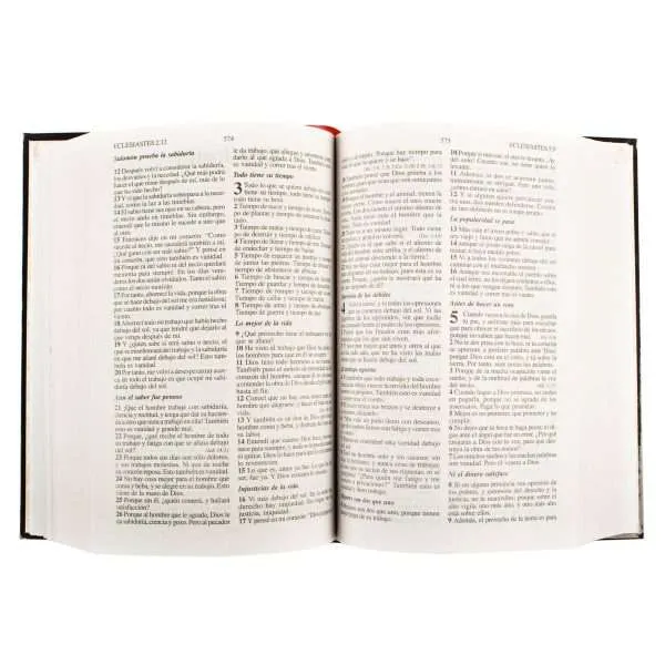 La Santa Biblia, Reyna Valera - Imagen 4