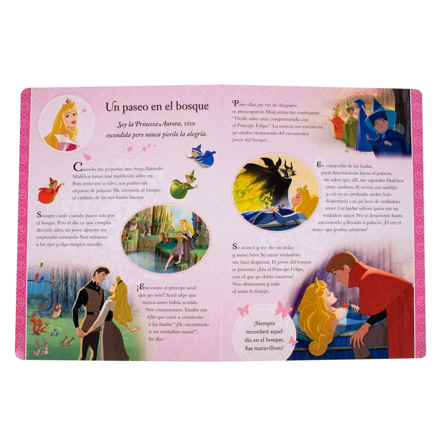 Disney Princesa Momentos Especiales - Imagen 2