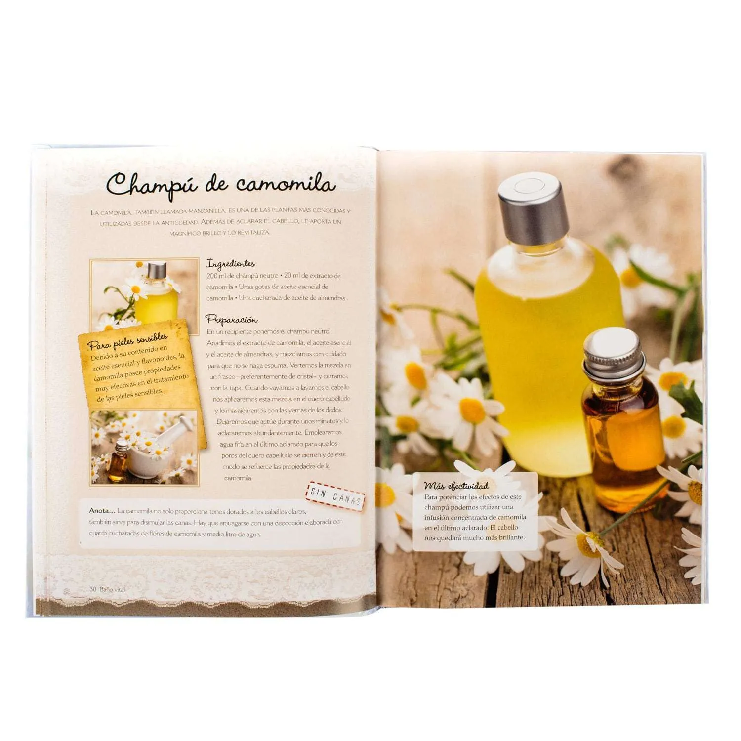 Belleza y Bienestar - Imagen 2