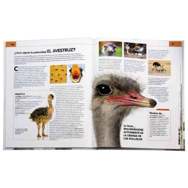 Comportamiento del Reino Animal - Imagen 2