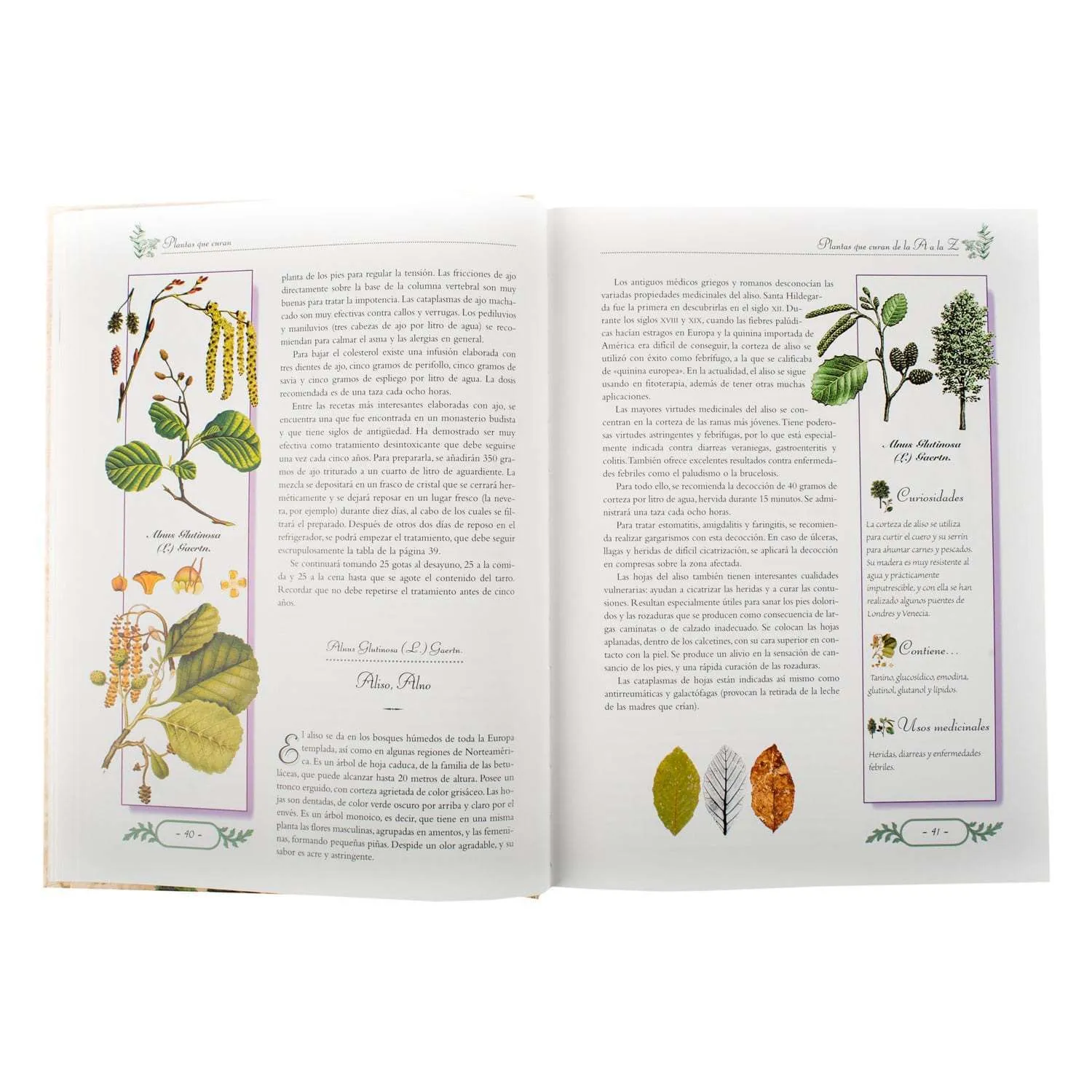 Plantas que curan - Imagen 2