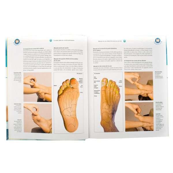 La Reflexoterapia - Imagen 2