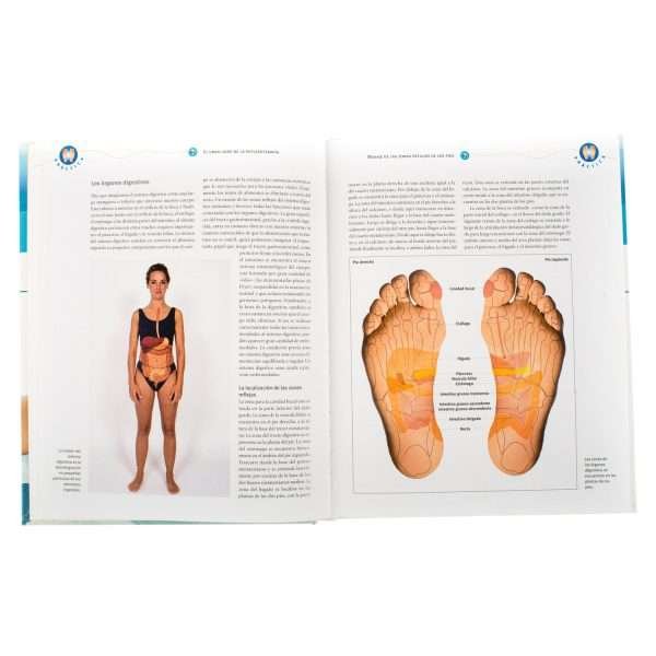 La Reflexoterapia - Imagen 3