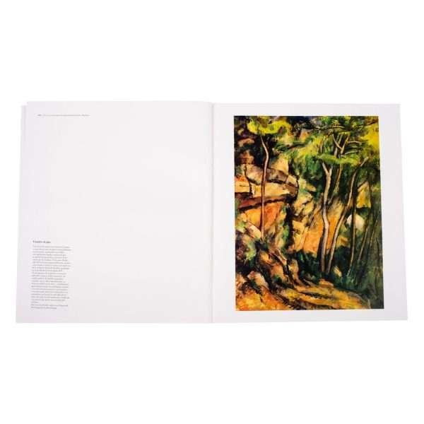 Cézanne - Imagen 4