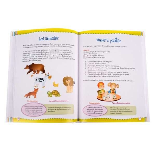 Actividades Dinámicas Pre Escolar - Imagen 3