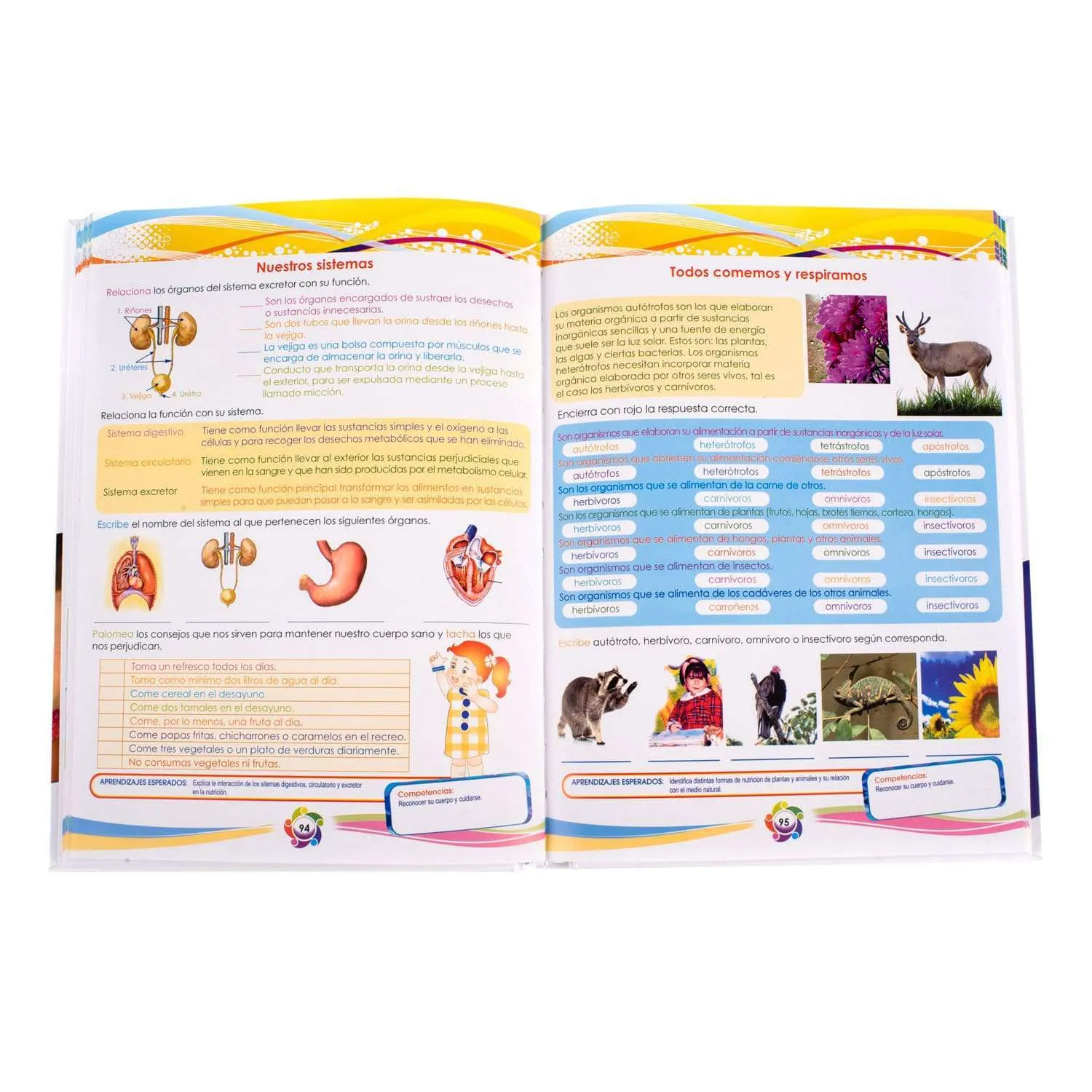 Actividades Dinámicas Primaria - Imagen 4