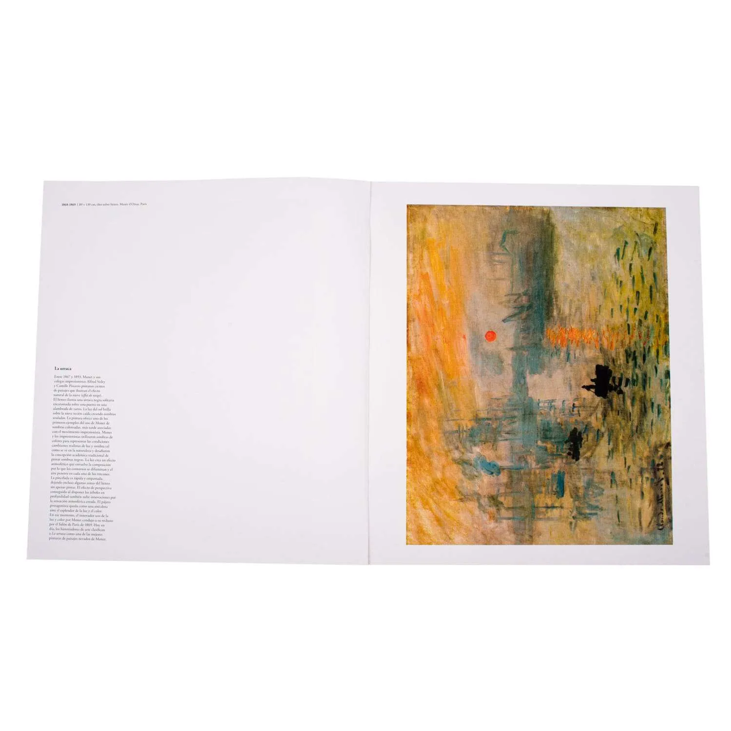 Monet - Imagen 2