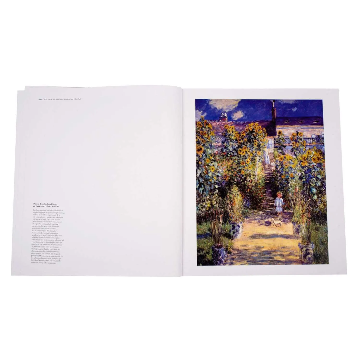 Monet - Imagen 4