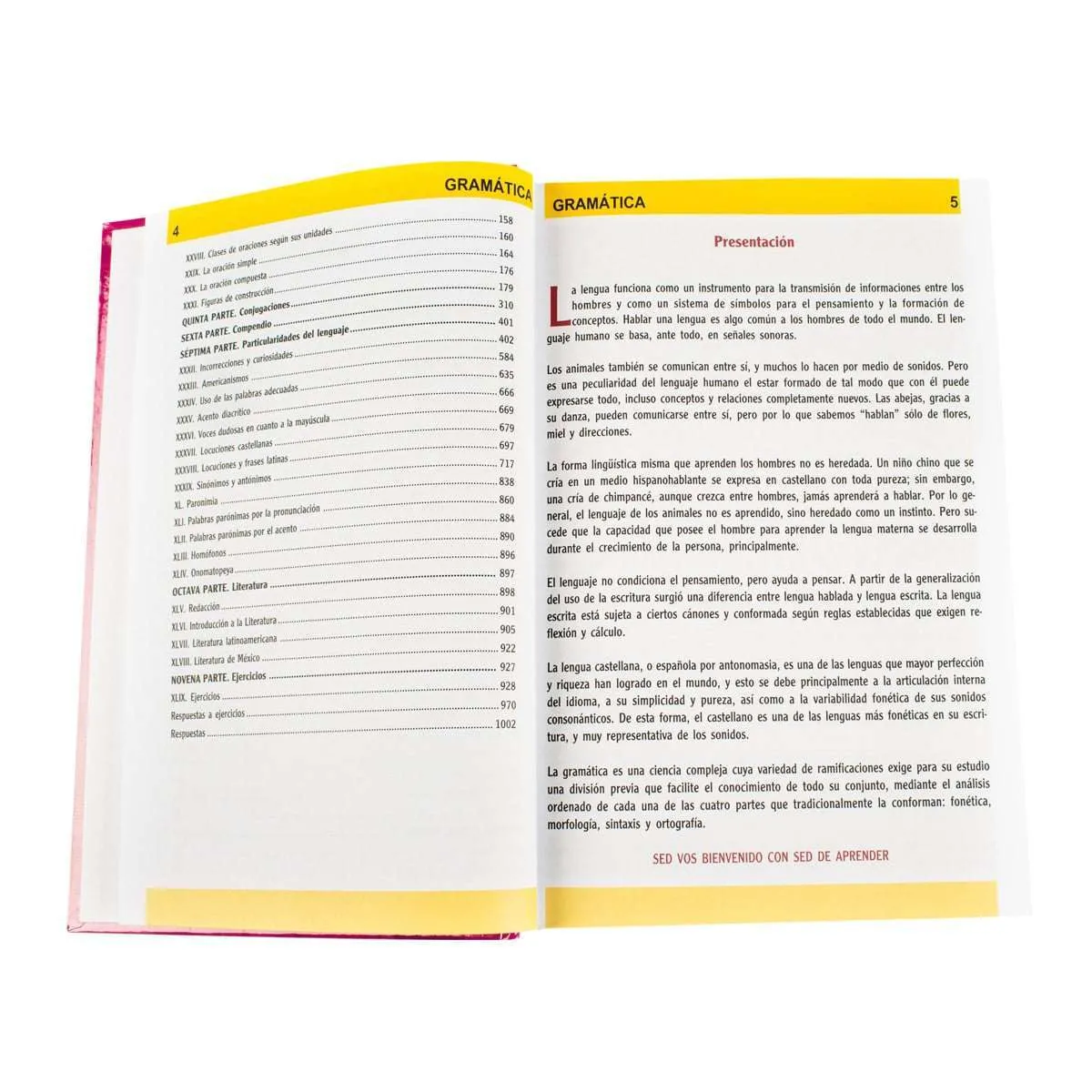 Consultor Gramática - Imagen 2