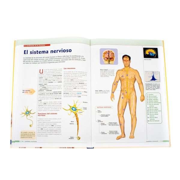 El Cuerpo Humano - Imagen 3