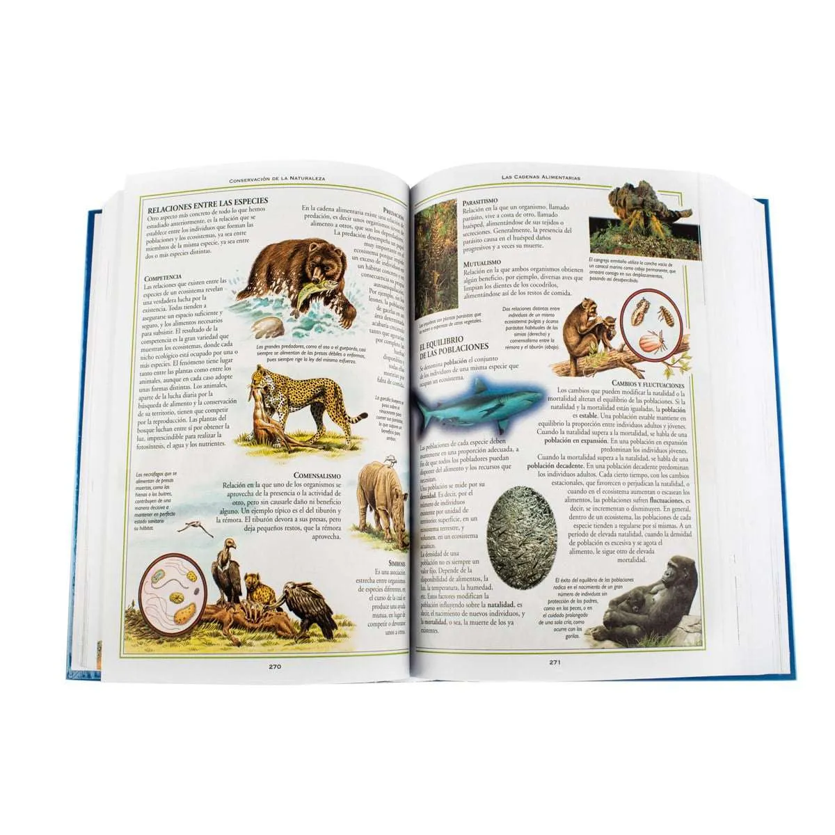 Consultor Mi Primaria - Imagen 3