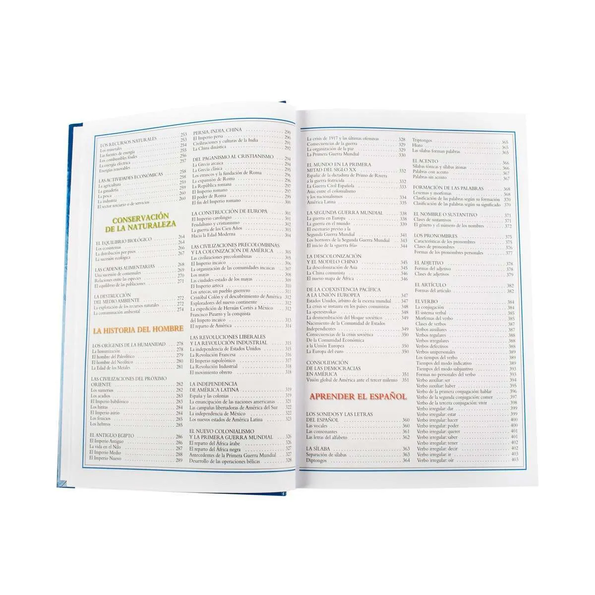 Consultor Mi Primaria - Imagen 4