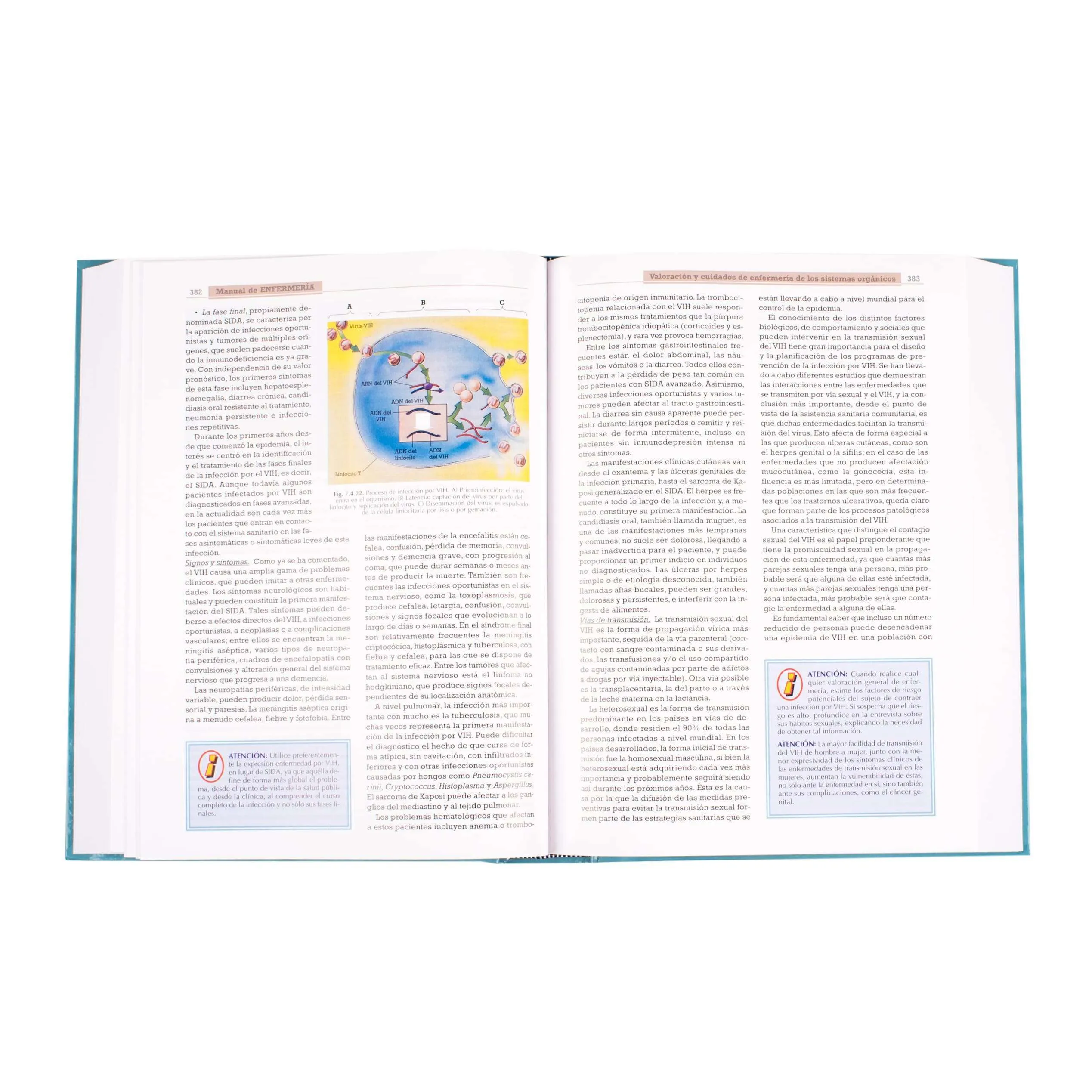 Manual de Enfermería Lexus - Imagen 4