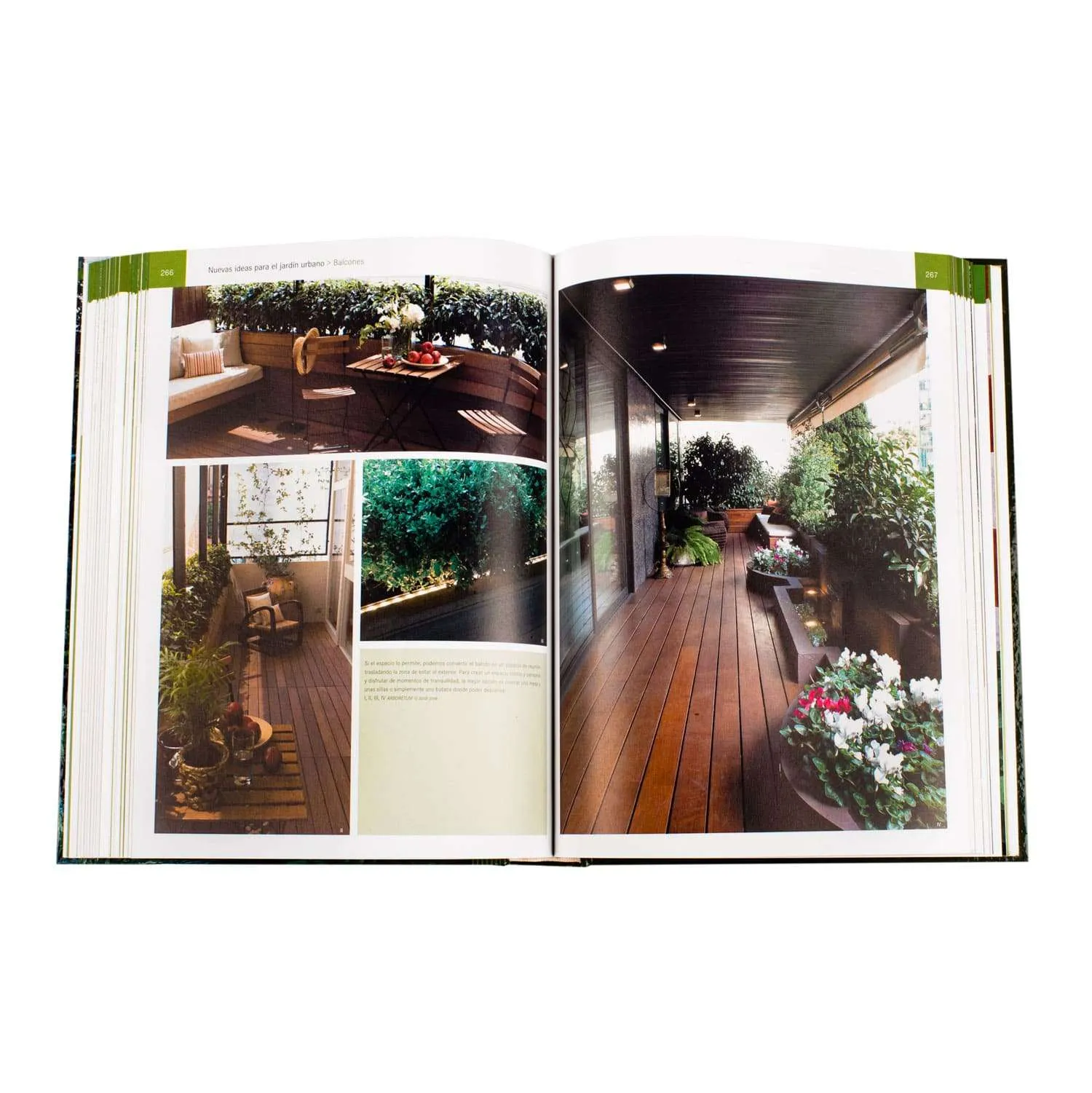 1000 Ideas en Diseños de Jardines - Imagen 4