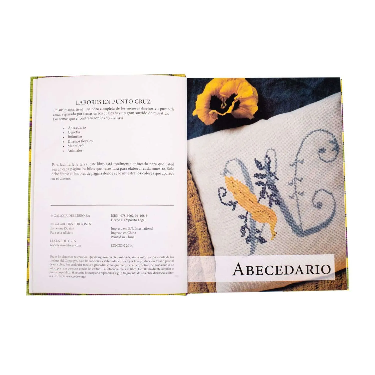 Labores en Punto Cruz - Imagen 2