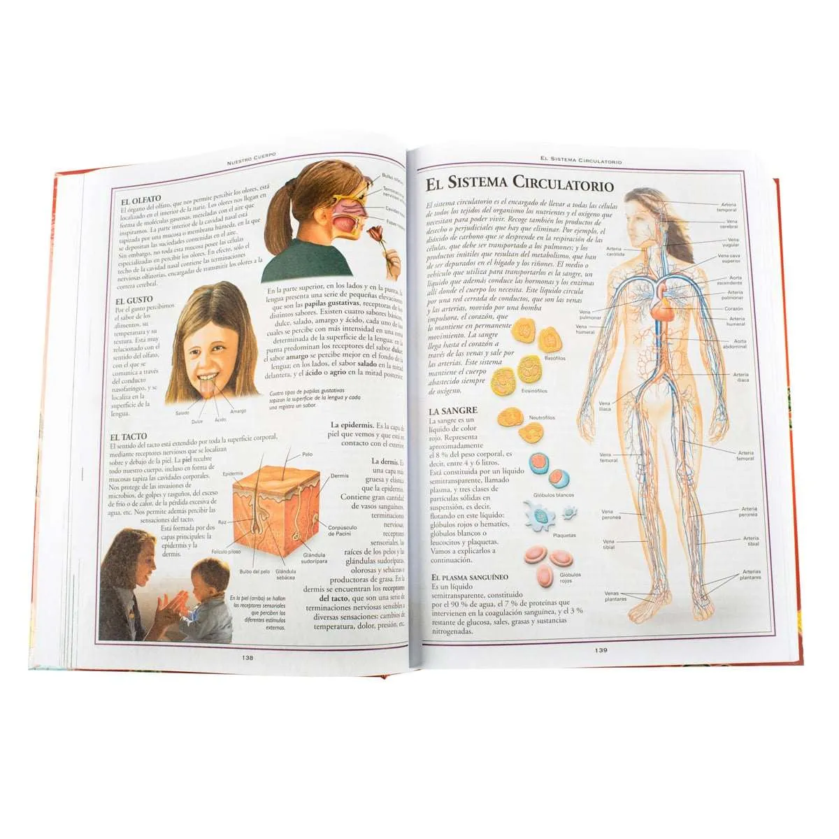 Mi Primaria Enciclopedia Educativa CD-ROM - Imagen 5