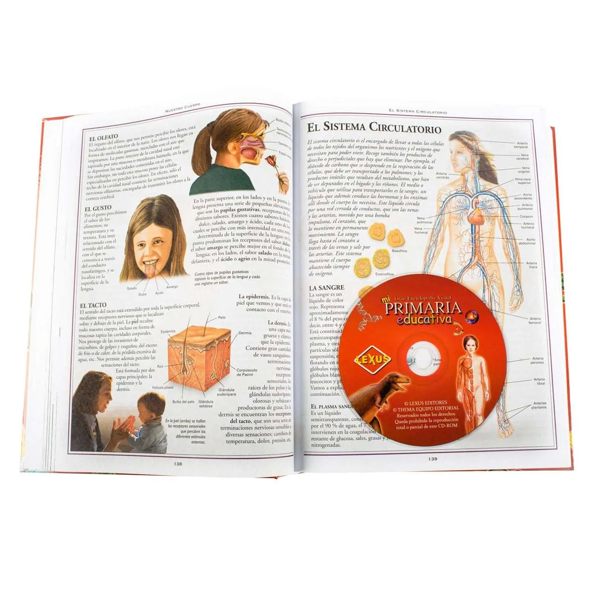 Mi Primaria Enciclopedia Educativa CD-ROM - Imagen 4