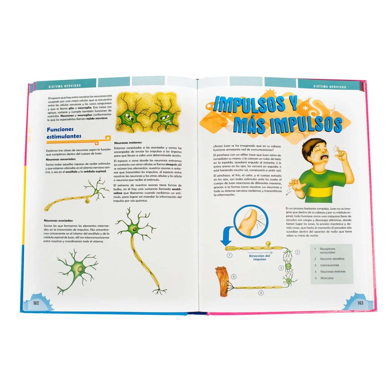 El Cuerpo de Juan - Imagen 3