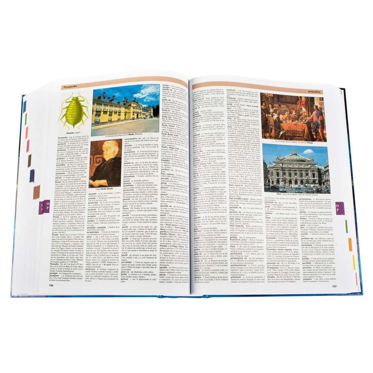 Lexus – Diccionario Enciclopédico Color - Imagen 4