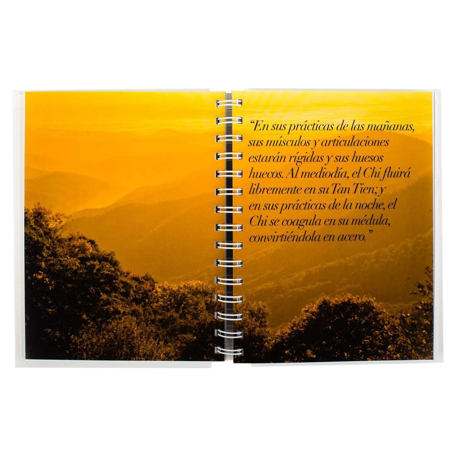 Taichi Guía Práctica - Imagen 2