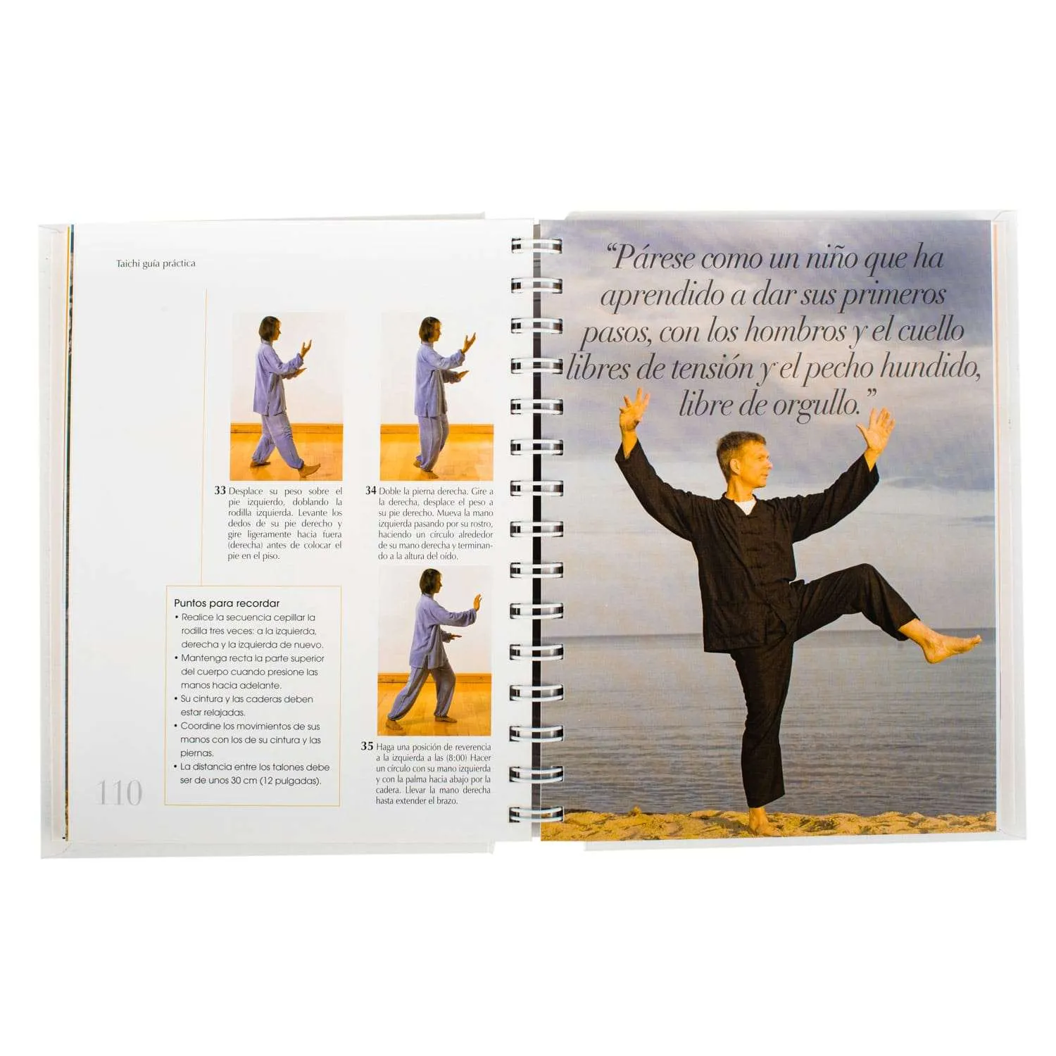 Taichi Guía Práctica - Imagen 3