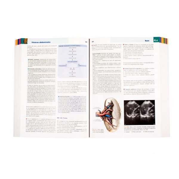 Anatomía con Orientación Clínica para Estudiantes - Imagen 4