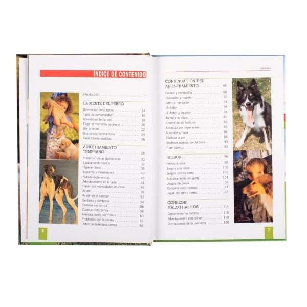 Adiestramiento Canino - Imagen 2