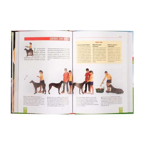 Adiestramiento Canino - Imagen 3