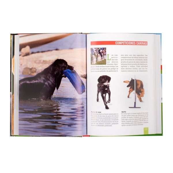 Adiestramiento Canino - Imagen 4