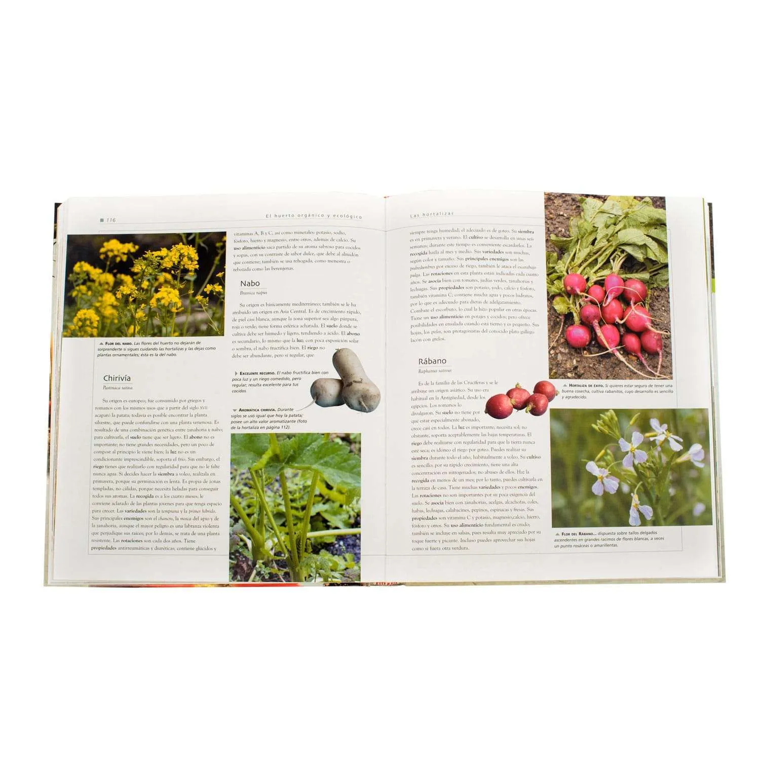 Atlas Ilustrado El Huerto Orgánico y Ecológico - Imagen 4