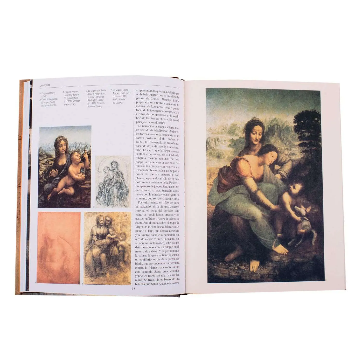 Leonardo Da Vinci Vida y Obra - Imagen 3