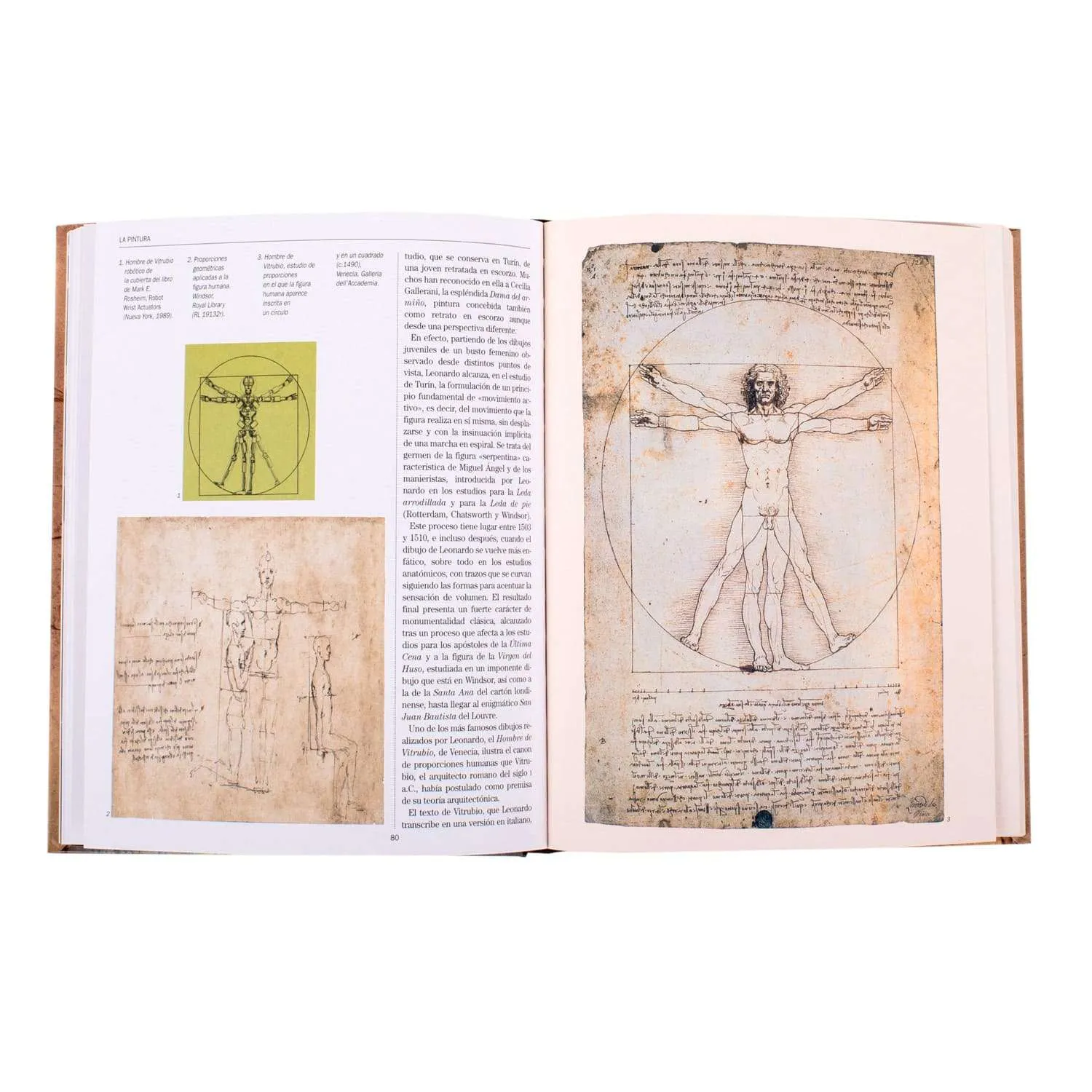 Leonardo Da Vinci Vida y Obra - Imagen 4