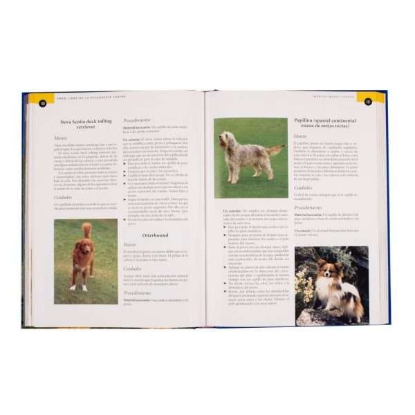Peluquería Canina - Imagen 3