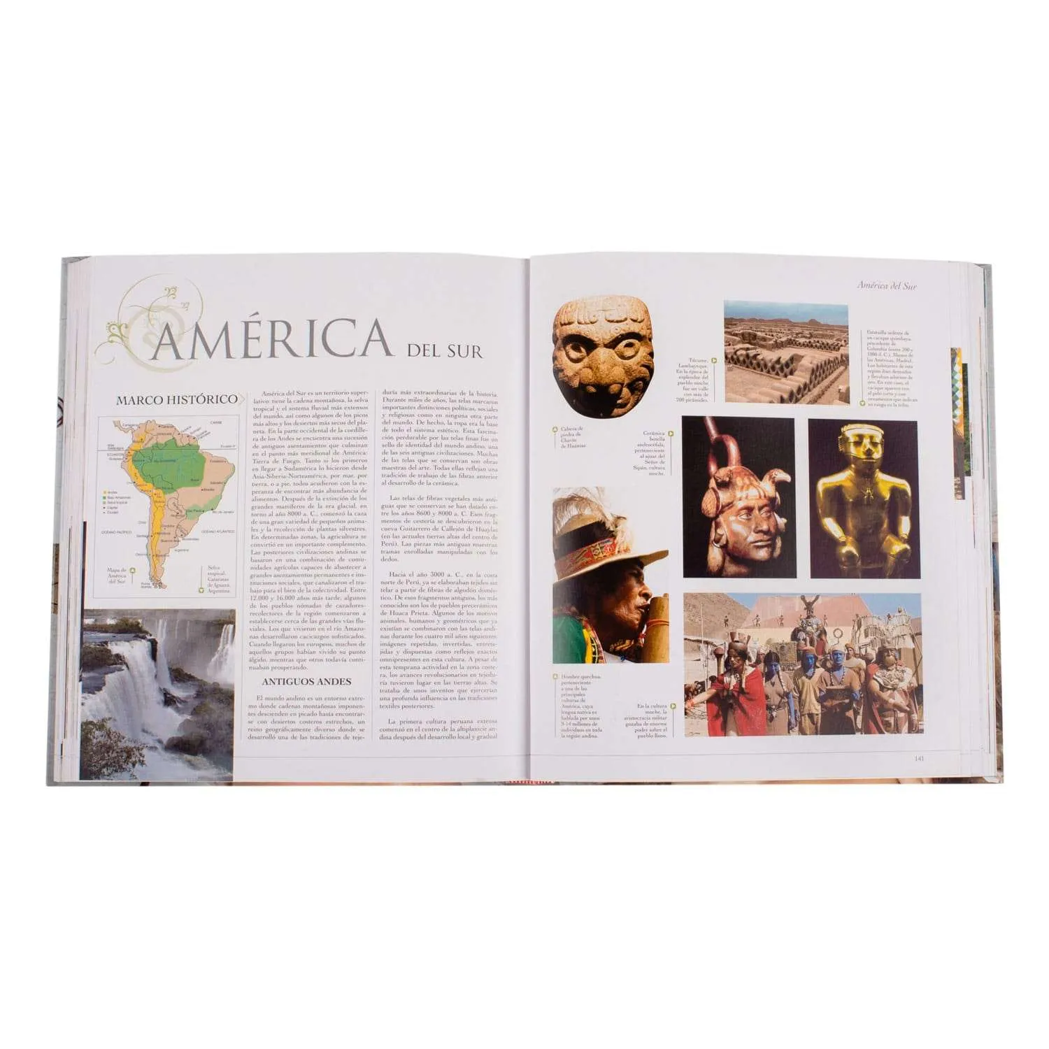 Atlas Ilustrado del Peinado - Imagen 3