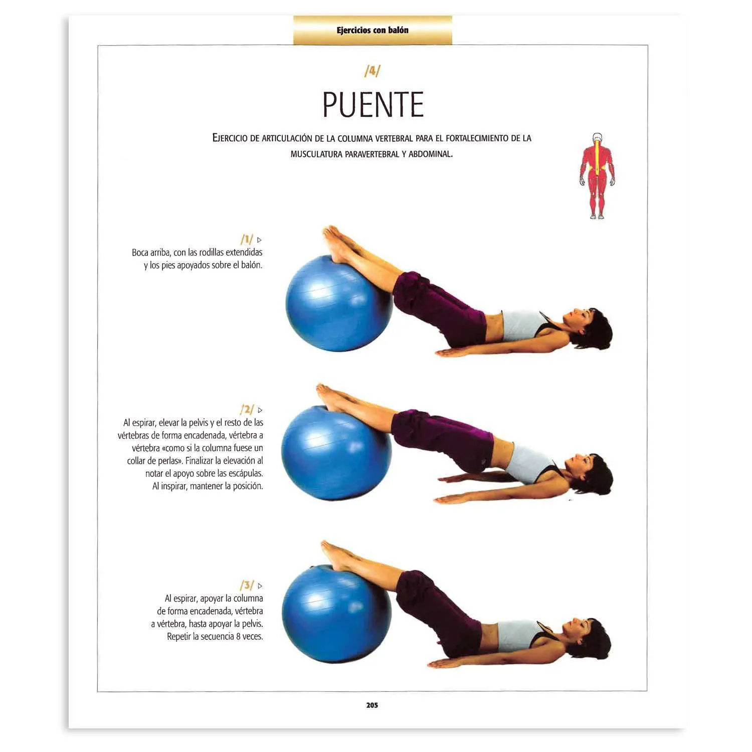 Atlas Ilustrado de Pilates - Imagen 3