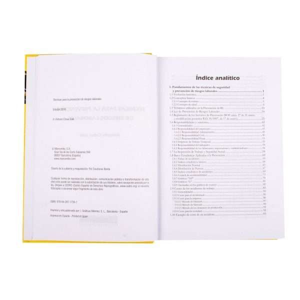 Técnicas para la Prevención de Riesgos Laborales - Imagen 2