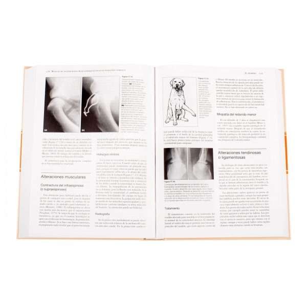 Manual de Alteraciones Musculoesqueléticas - Imagen 3