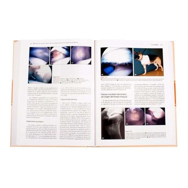Manual de Alteraciones Musculoesqueléticas - Imagen 4