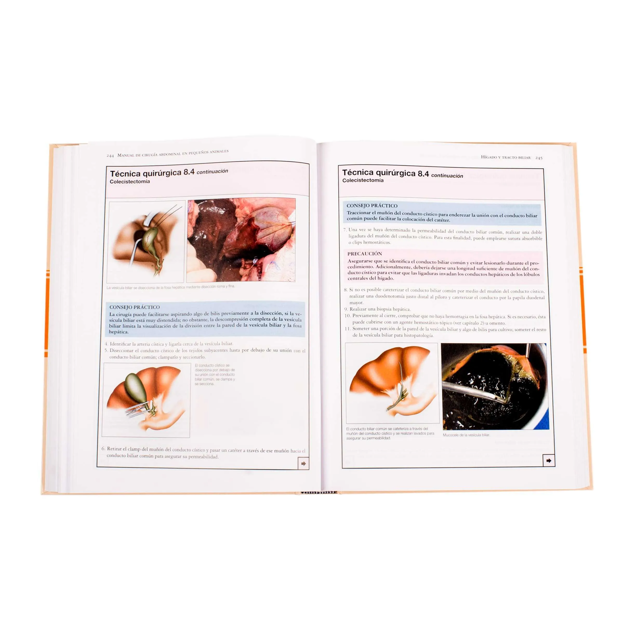 Manual de Cirugía Abdominal - Imagen 4