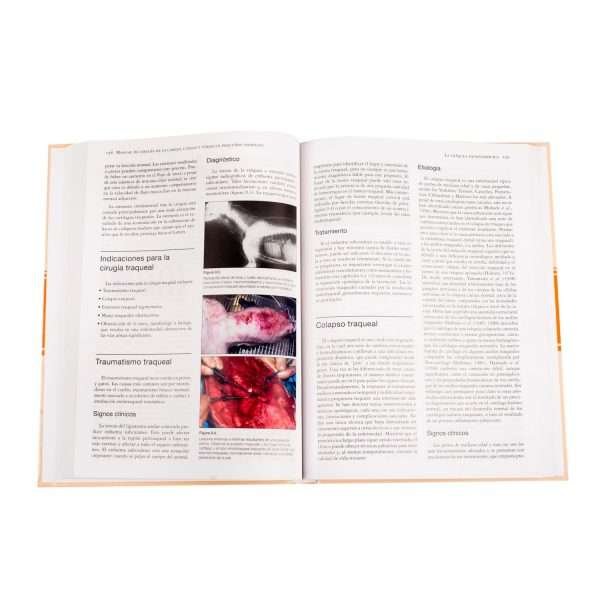 Manual de Cirugía de la Cabeza, Cuello y Tórax - Imagen 3